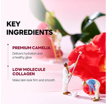 Load image into Gallery viewer, [Round Lab] Camellia Deep Collagen Gel Mask (4 sheets)-Ships from Korea
