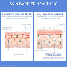 Load image into Gallery viewer, [AESTURA]  Atobarrier365 Cream – Ceramide Barrier-Boosting Moisturizer (80ml)-Ships from Korea
