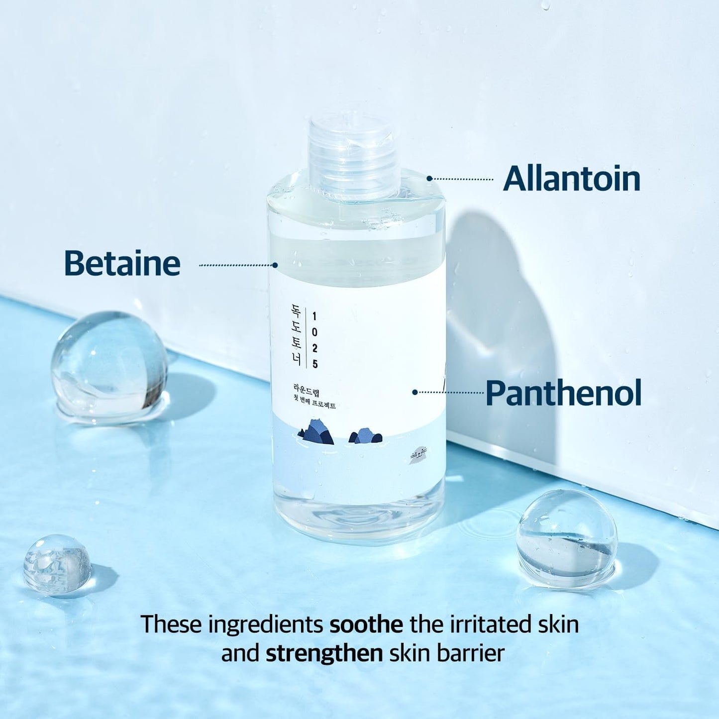 [ROUND LAB] 1025 Dokdo Toner (200ml)