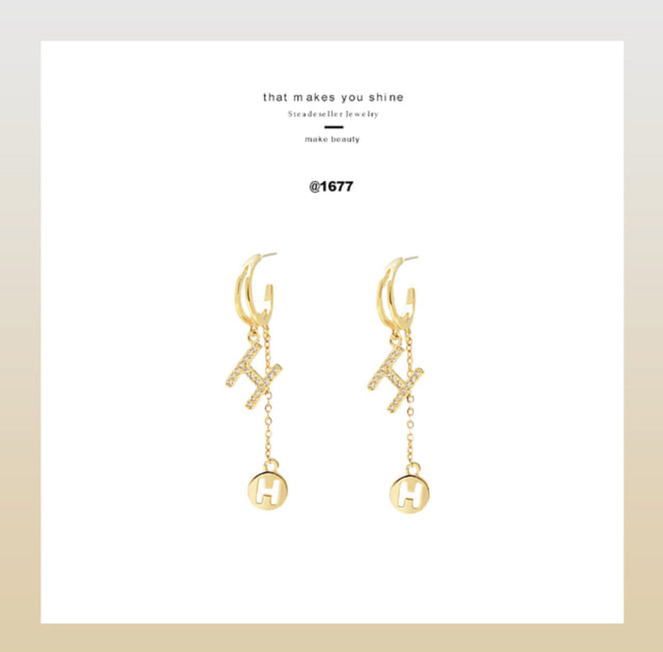 [Earrings]H Long drop Earrings (silver pin)0.5x6.4cm