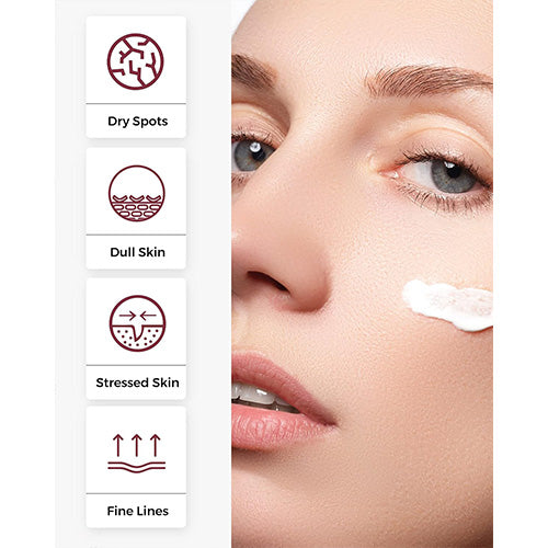 The Madeca Cream (50ml)