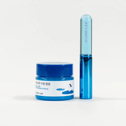 Birch Moisturizing Lip Balm + Silicone Brush Set