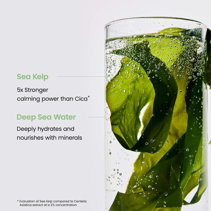 Refreshing Sea Kelp Real Deep Mask (34g × 4ea)