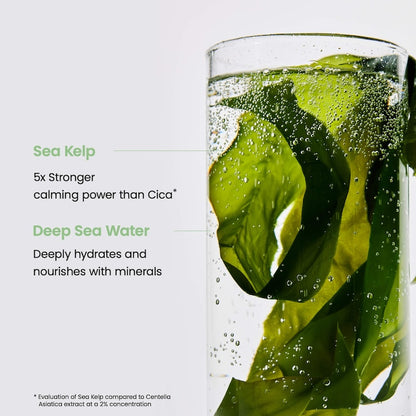Refreshing Sea Kelp Real Deep Mask (34g × 4ea)