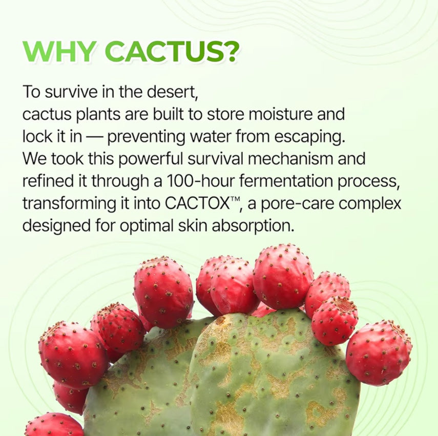 Cactox CT 3-Step Nose Pore Pack (3 Sheets)