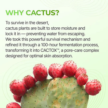 Cactox CT 3-Step Nose Pore Pack (3 Sheets)