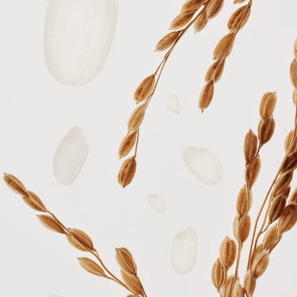 Dynasty Cream (50ml)