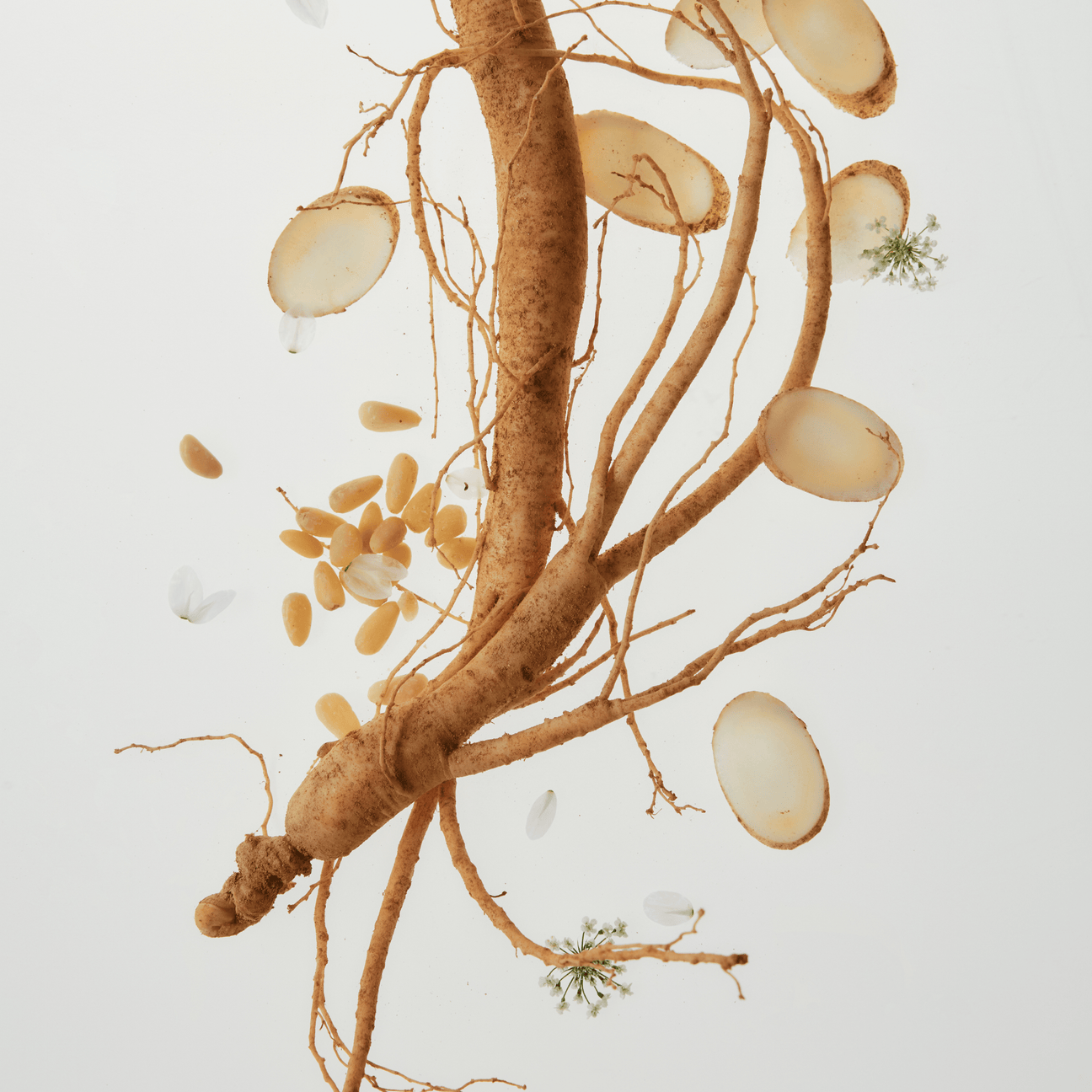 Ginseng Essence Water (150ml)