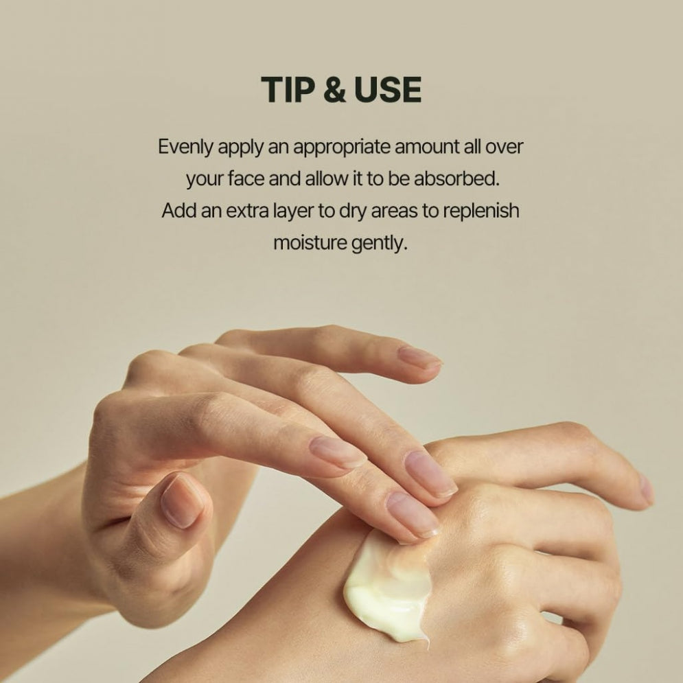 Solid-In Ceramide Cream (70ml)