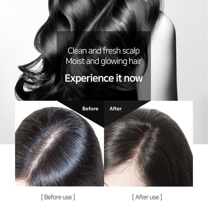 Glam Style Perfumed Shampoo (600mL)