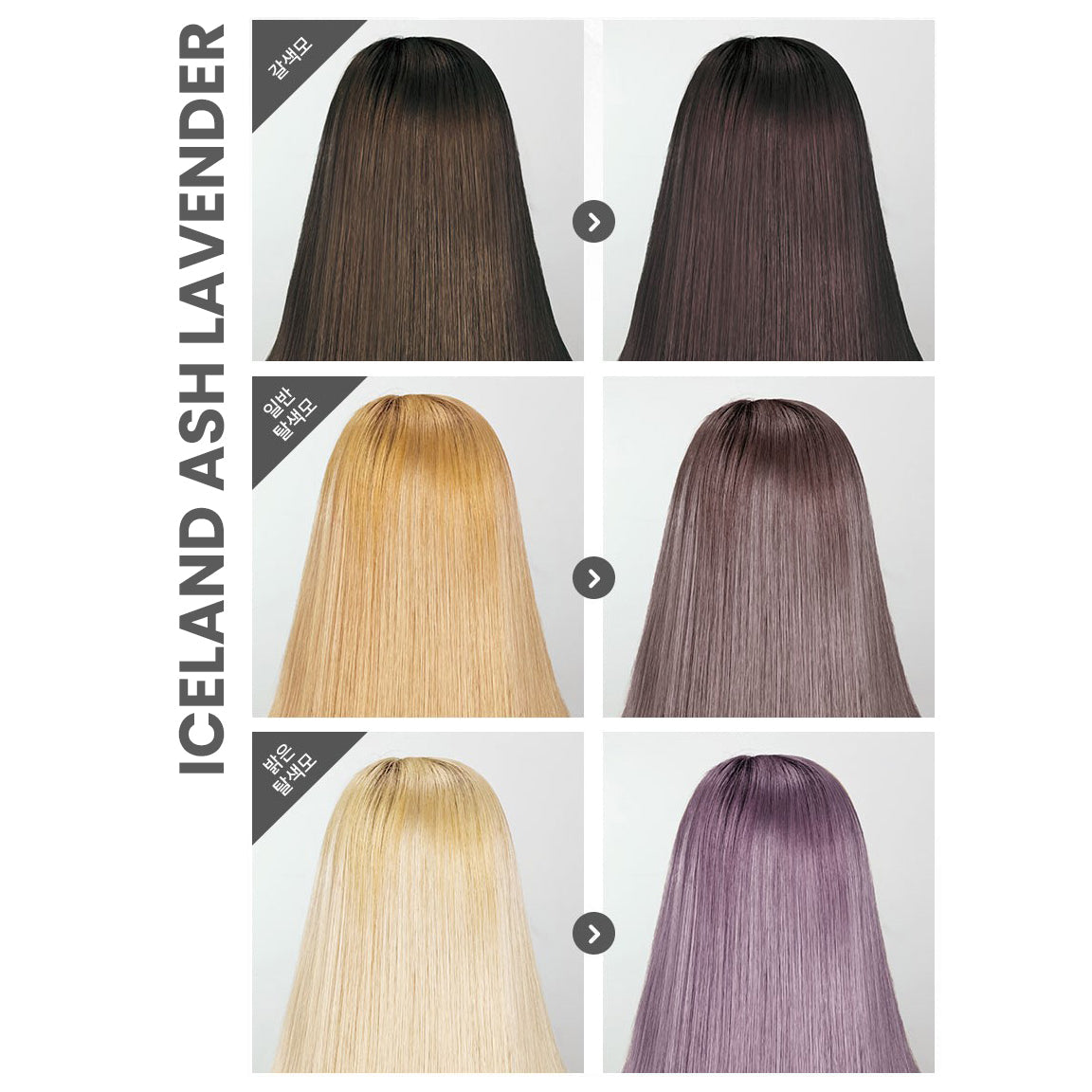 Iceland Ash Lavender Pudding Hair Color (140ml)