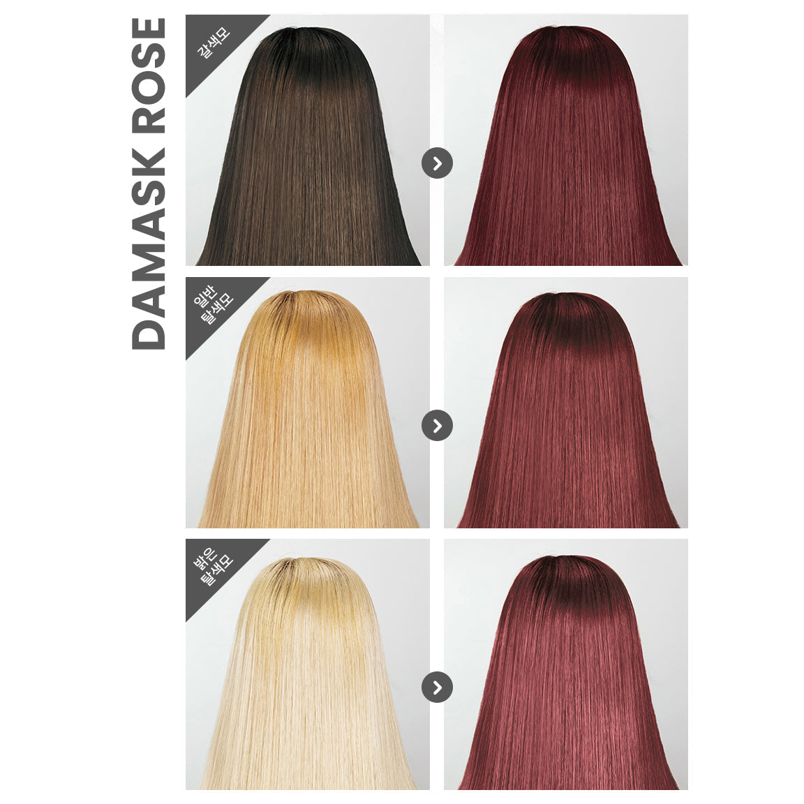 Damask Rose Pudding Hair Color (140ml)