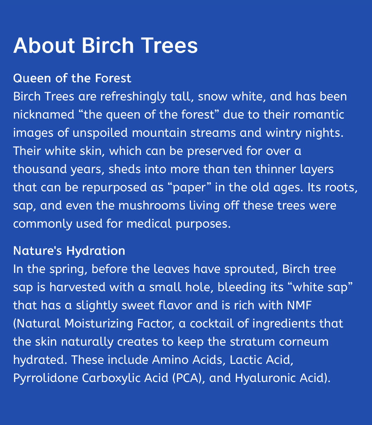 [Round Lab] Birch Juice Moisturizing Sun Cream SPF50+ PA++++