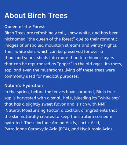 [Round Lab] Birch Juice Moisturizing Sun Cream SPF50+ PA++++