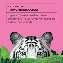 Load image into Gallery viewer, [Dr. Jart+] Cicapair™ Tiger Grass Calming Gel Cream
